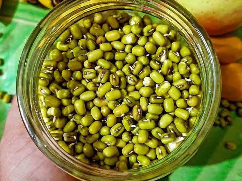 अंकुरित मूंग