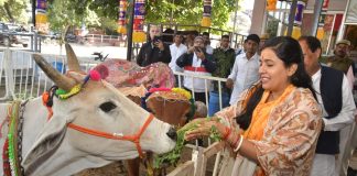 डॉ. सौम्या गुर्जर