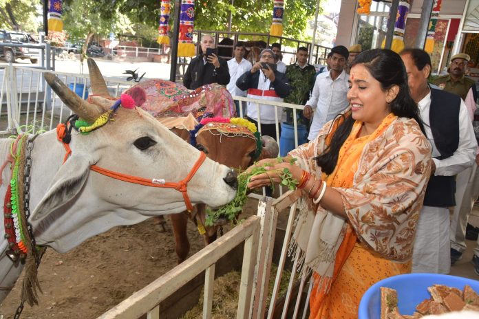 डॉ. सौम्या गुर्जर