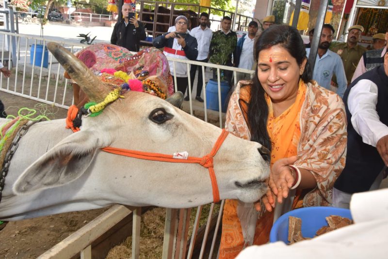 डॉ. सौम्या गुर्जर
