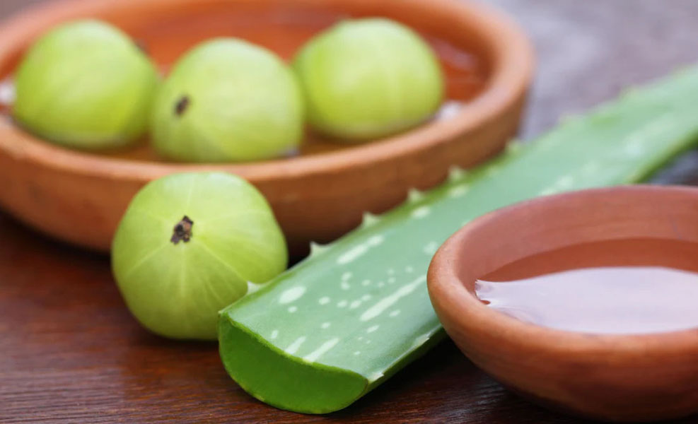 आंवला और एलोवेरा