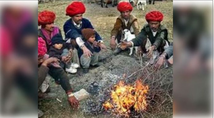 Cold wave in Rajasthan, Fatehpur temperature reaches 1.1 degree Celsius Cold wave in Rajasthan, Fatehpur temperature reaches 1.1 degree Celsius