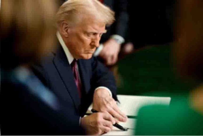 Shock to Donald Trump, court bans executive order limiting birthright citizenship Shock to Donald Trump, court bans executive order limiting birthright citizenship