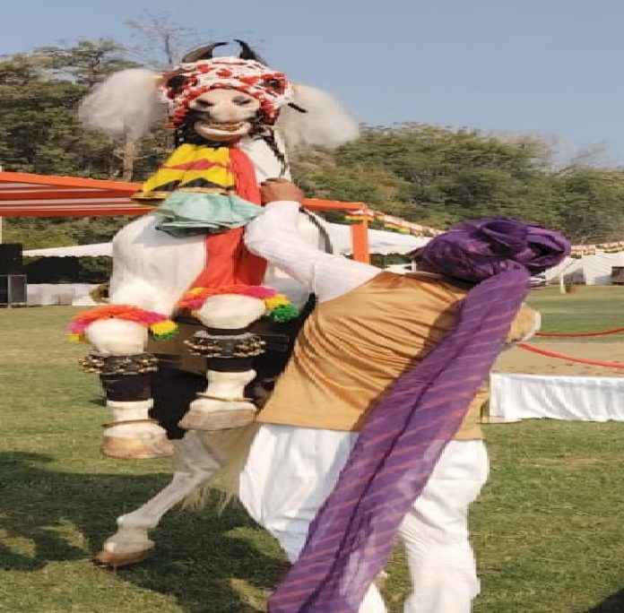 पशुपालन मंत्री पशुपालन मंत्री