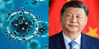 New bat coronavirus found in China, fear of spreading to humans
