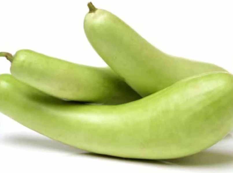 लौकी के बीज