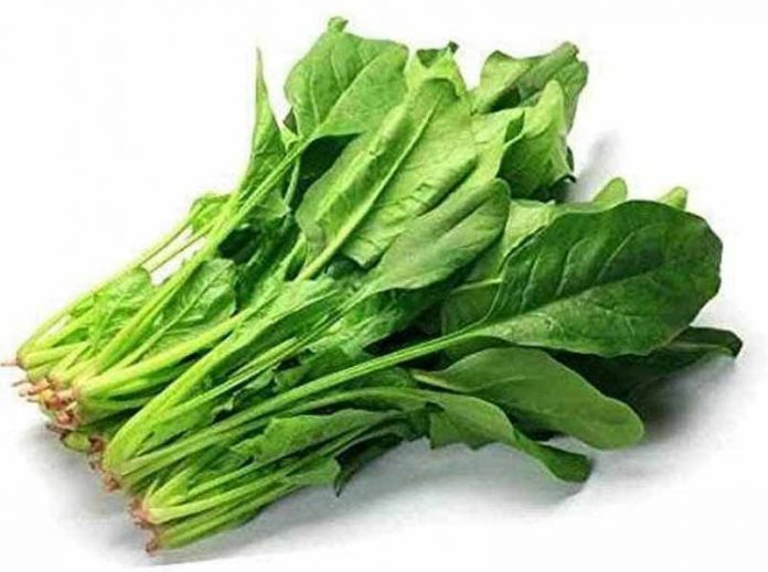 पालक पालक