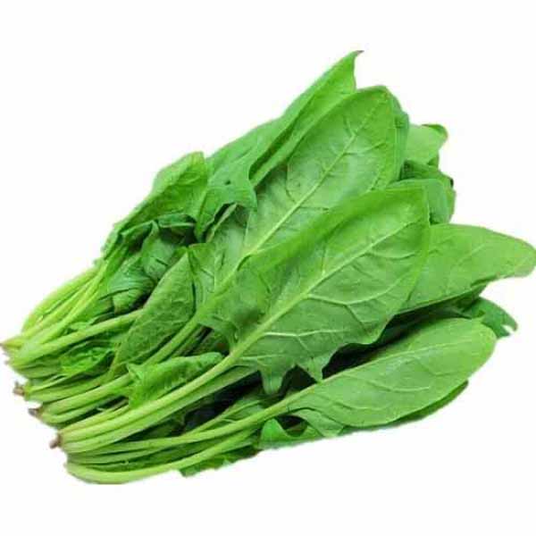 पालक