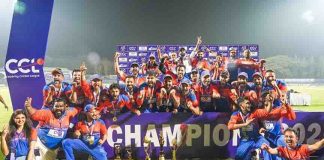 Punjab De Sher becomes champion of Celebrity Cricket League Season 11