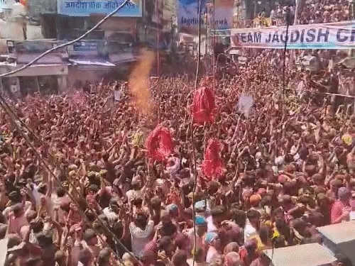 होली का जश्न होली का जश्न