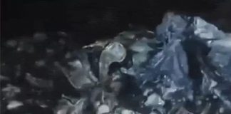 घर के अंदर की पहली तस्वीर