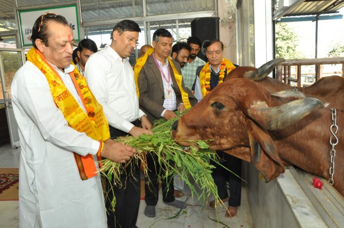 Animal Husbandry Minister Animal Husbandry Minister