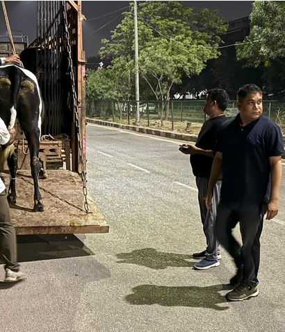 नगर निगम ग्रेटर नगर निगम ग्रेटर