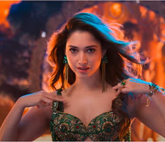 Tamanna Bhatia, Vijay Verma, breakup, revealed, real reason?