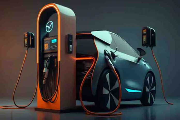 6% additional tax will be levied on electric vehicles costing more than Rs 30 lakh 6% additional tax will be levied on electric vehicles costing more than Rs 30 lakh