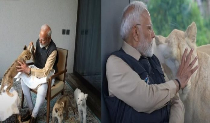 6 प्रधानमंत्री नरेंद्र मोदी