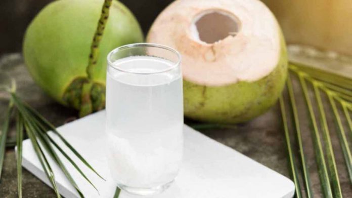 नारियल पानी नारियल पानी