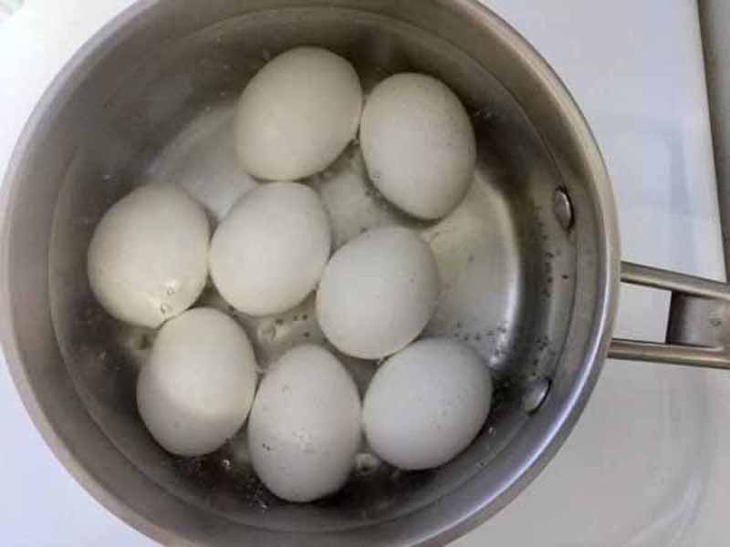 अंडे