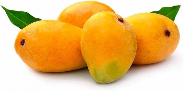 आम आम