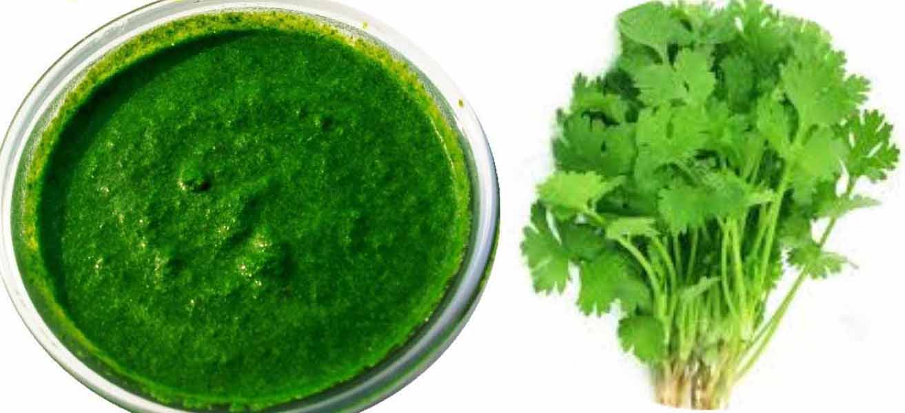 धनिया-पुदीना चटनी