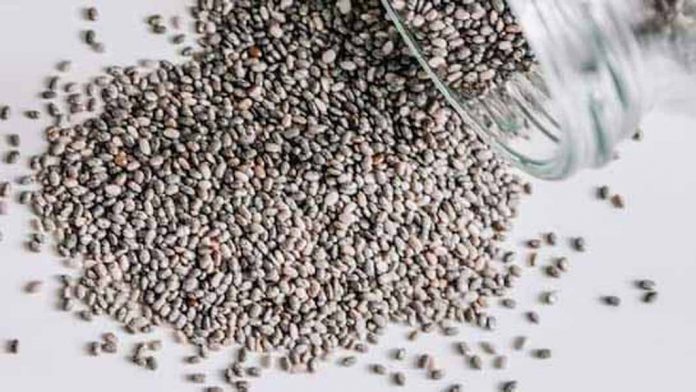 चिया सीड्स चिया सीड्स