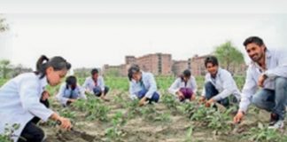 प्रोत्साहन राशि