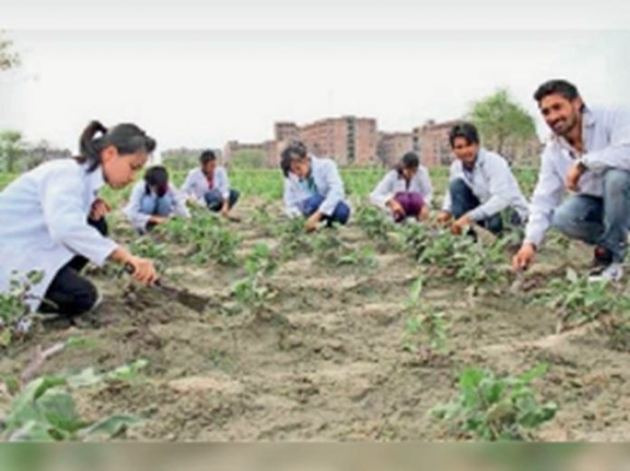 प्रोत्साहन राशि प्रोत्साहन राशि