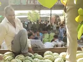 तरबूज-खरबूज
