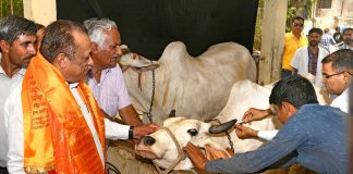 पशुपालन मंत्री
