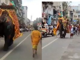 हाथी बेकाबू