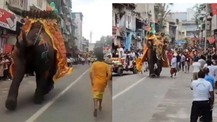 हाथी बेकाबू हाथी बेकाबू