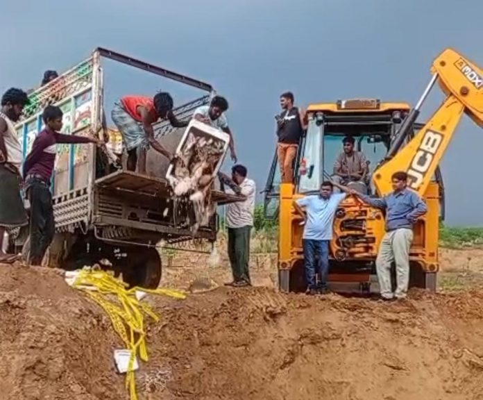 1200 किलो मछलियों से भरी पिकअप जब्त मत्स्य विभाग
