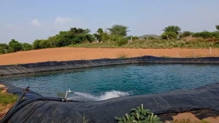 फार्म पॉन्ड