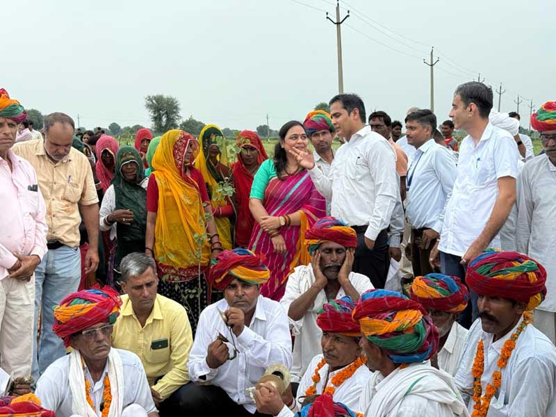 पौधारोपण