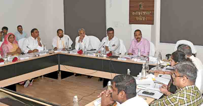 बाघ संरक्षण फाउंडेशन