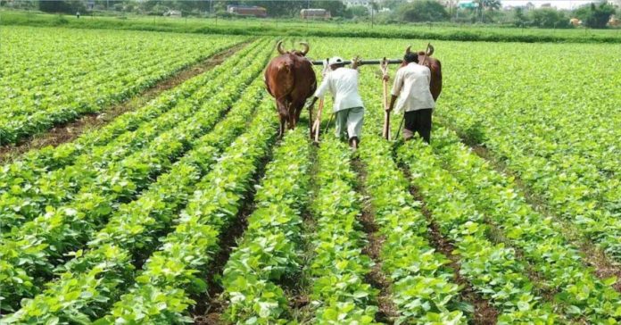 मुख्यमंत्री अवधिपार ब्याज राहत योजना
