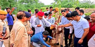 हरियाली तीज