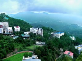शूलिनी विश्वविद्यालय