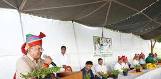वासुदेव देवनानी