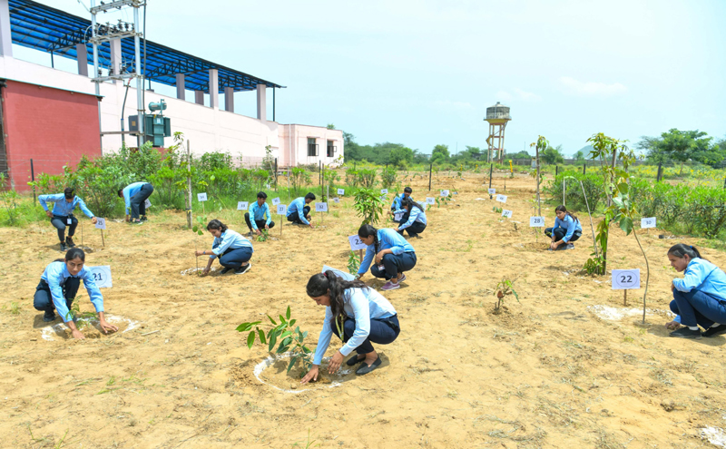 सीएम भजनलाल शर्मा ने 'विशेष योग्यजन बहन सम्मान दिवस' में मोटराइज्ड ट्राईसाइकिल वितरित कीं