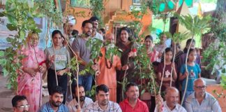 वृक्षारोपण