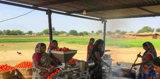 सूक्ष्म खाद्य उद्योग