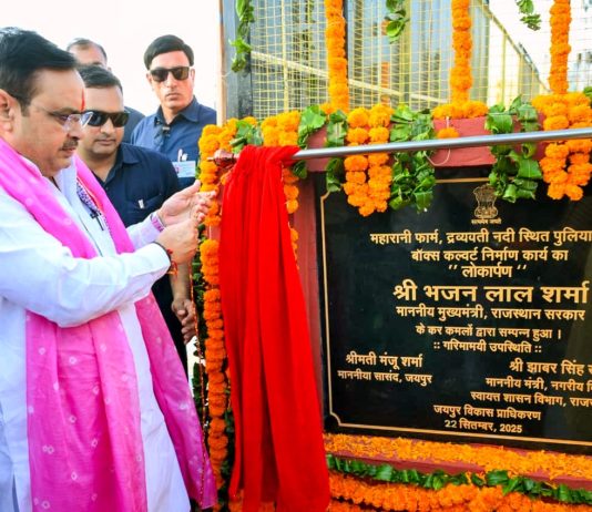 High-Level Bridge Over Dravyavati River Opens in Jaipur
