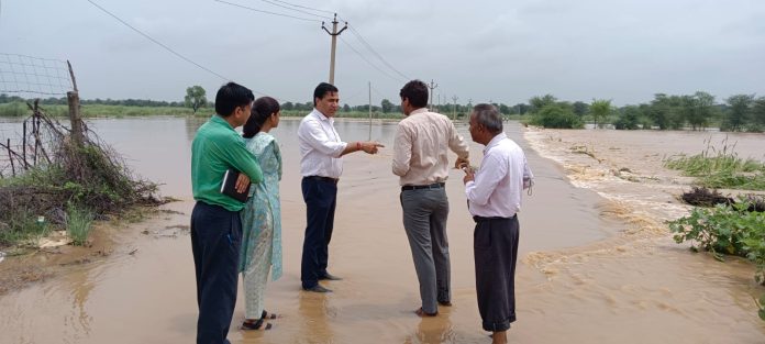 जिला कलक्टर