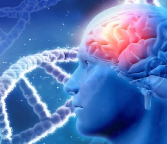 क्या सिर्फ उम्र है वजह? महिलाओं को अल्जाइमर ज्यादा क्यों होता है, जानिए डॉक्टर से